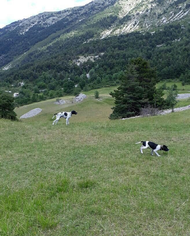 De La Source De Font Reynaude - Newton dans les alpes...