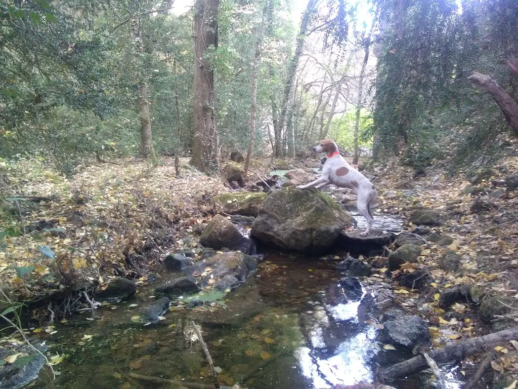 De La Source De Font Reynaude - Un début de saison très sec!!!!