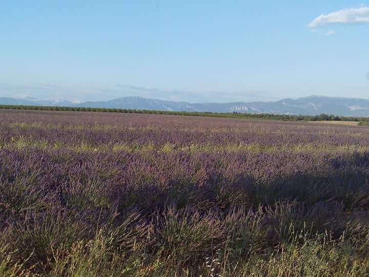 De La Source De Font Reynaude - Training sur le plateau de valensole....