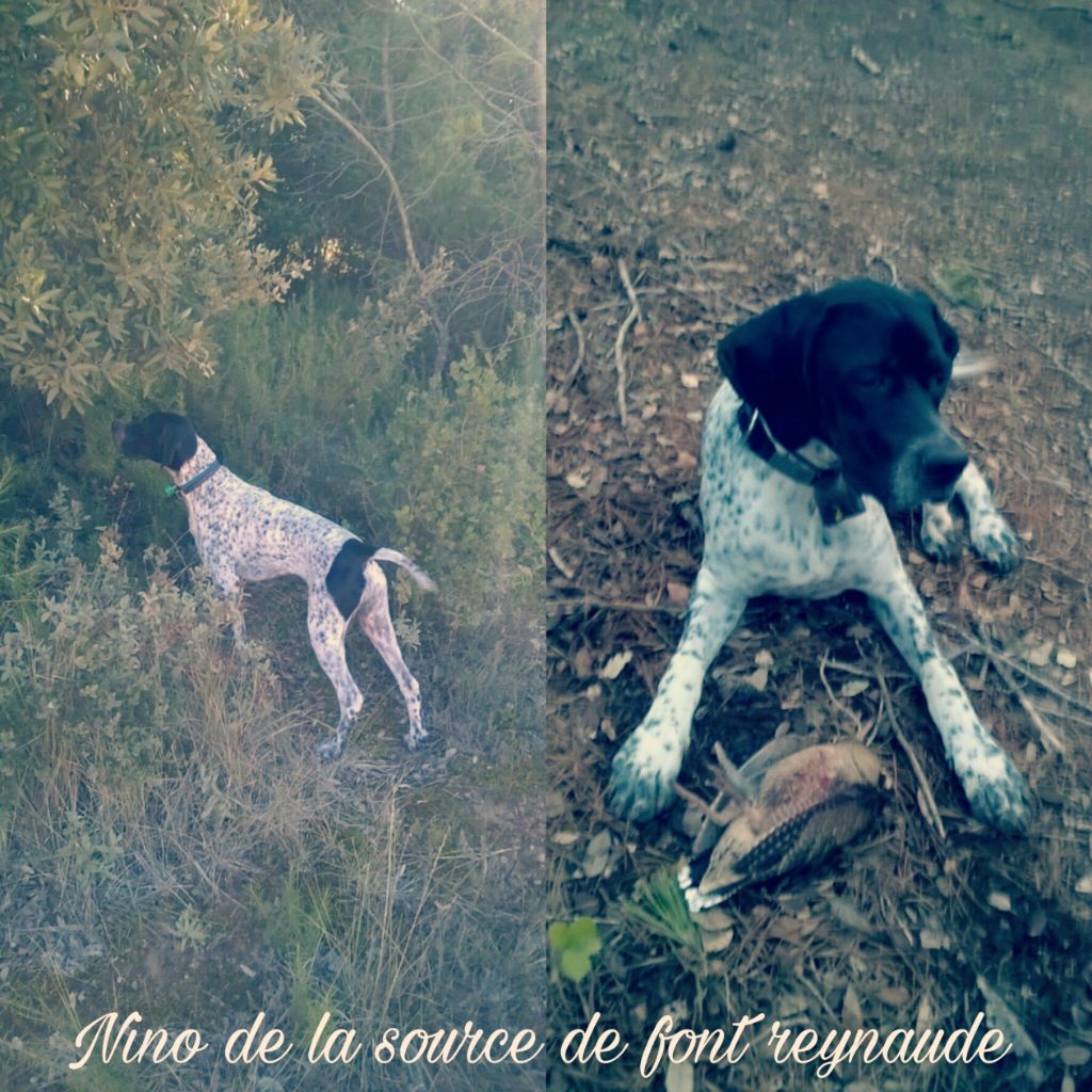 De La Source De Font Reynaude - nino et sa première bécasse...