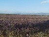  - Training sur le plateau de valensole....