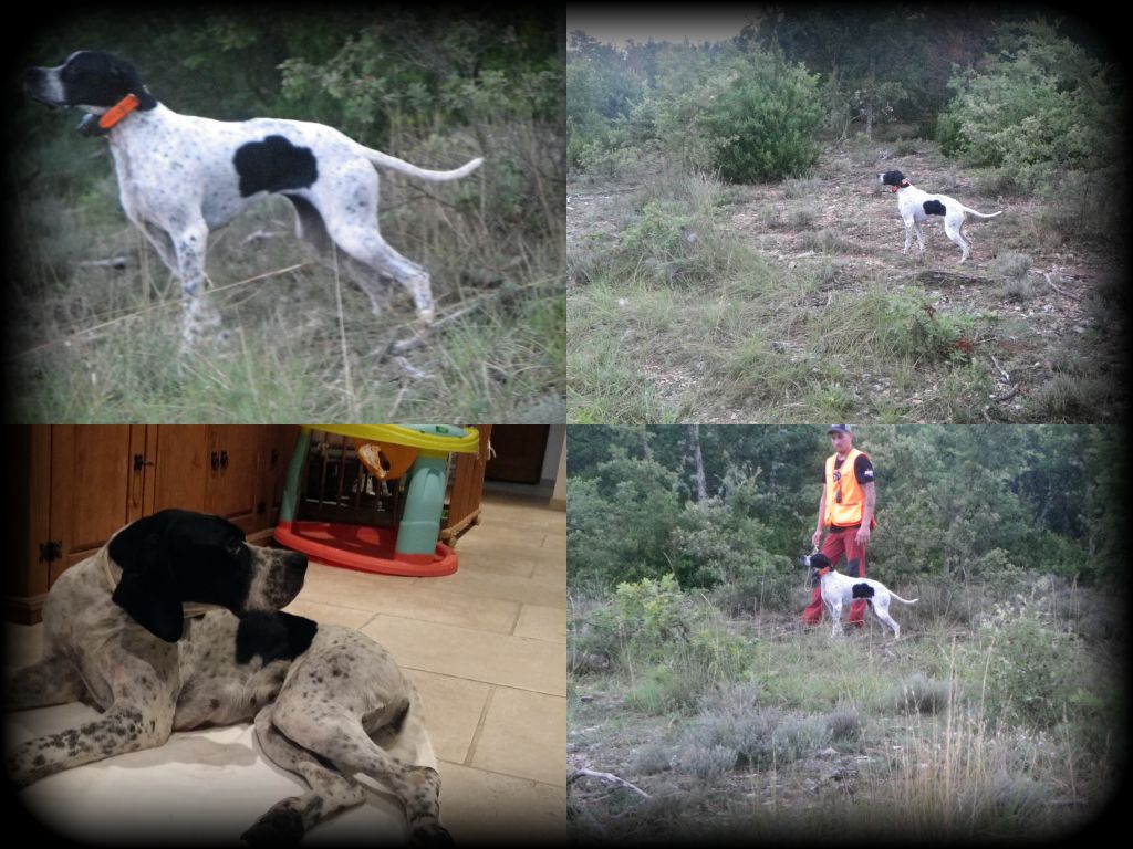 De La Source De Font Reynaude - Nutsie de La Source de Font Reynaude (15mois)