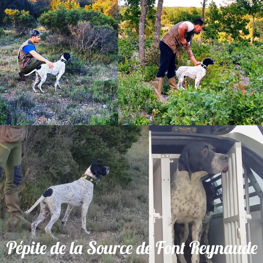 De La Source De Font Reynaude - Un plaisir de travailler avec nos Jeunes... 