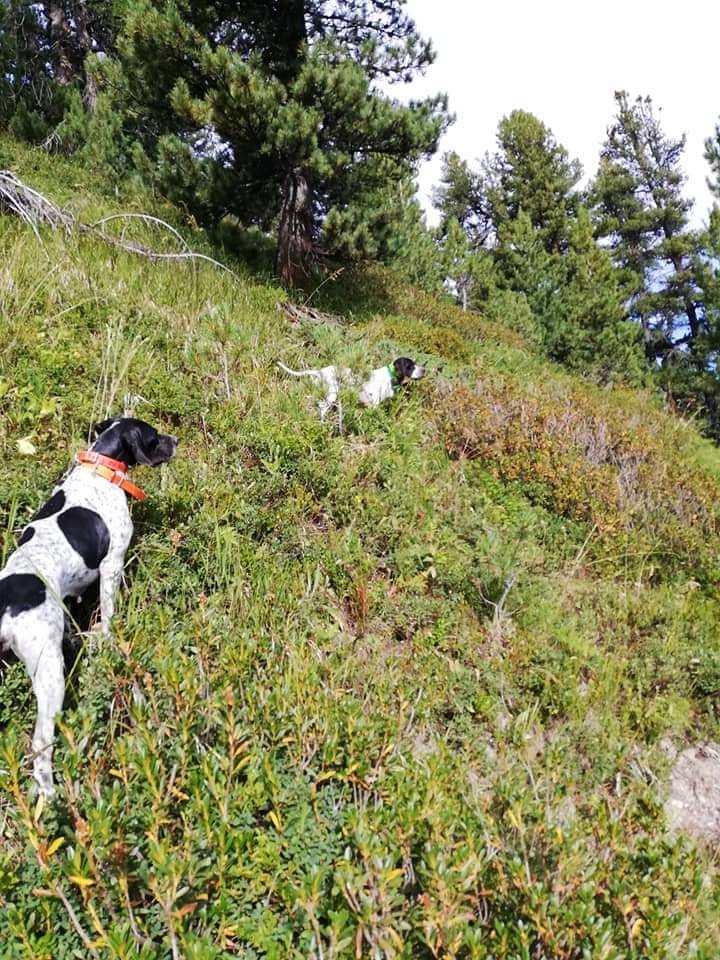 Nutsie De La Source De Font Reynaude