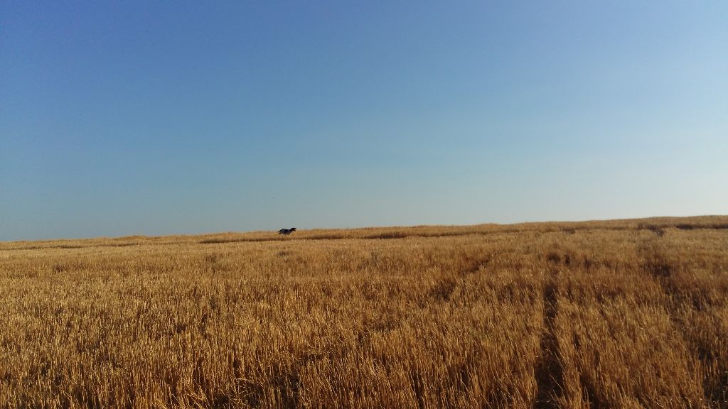 Training sur le plateau de valensole juillet 2018
