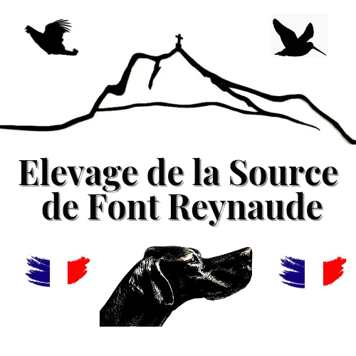 De La Source De Font Reynaude